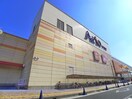 アリオ蘇我(ショッピングセンター/アウトレットモール)まで1800m シグナス末広