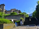 中央図書館(図書館)まで550m シグナス末広