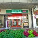 まいばすけっと(スーパー)まで232m パインヒル１８