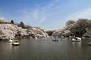 井の頭公園(公園)まで600m 御殿山二丁目貸家