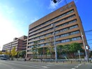 順天堂大学病院(病院)まで643m タムコンフォート