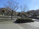 森林公園(公園)まで1600m グランカーサ藤沢