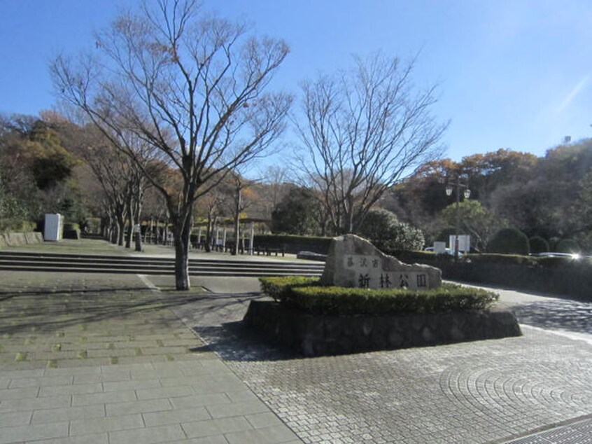 森林公園(公園)まで1600m グランカーサ藤沢