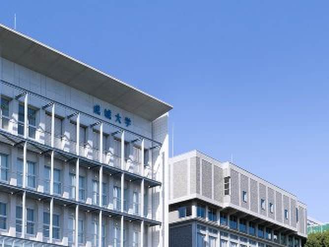 成城大学(大学/短大/専門学校)まで1800m テラスフロ－ラⅢ