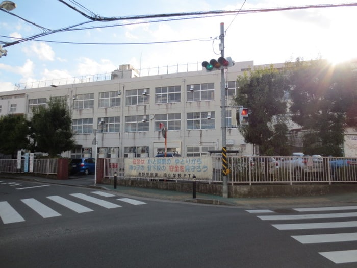 秦野市立南小学校(小学校)まで278m ルミエ－ルＫ－Ⅳ