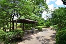 田園調布　せせらぎ公園(公園)まで600m ＩＮＯＨＡＮＡ