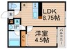 クレディ新小岩 1LDKの間取り