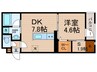 クレディ新小岩 1DK+Sの間取り