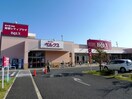 ベルクス(ショッピングセンター/アウトレットモール)まで450m コ－ポめだか