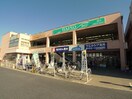 ダイソー(100均)まで450m コ－ポめだか