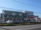 ドラッグセイムス 藤沢下土棚店(ドラッグストア)まで325m リブリ・長後
