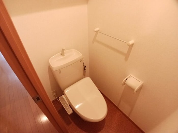 トイレ ピカソル