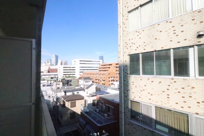 室内からの展望 ＺＯＯＭ広尾（602）