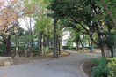 馬橋公園　四季の広場(公園)まで828m バ－ミ－プレイス阿佐ヶ谷Ⅱ