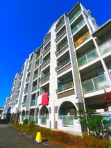 ＩＶＹ ＧＡＲＤＥＮ