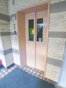 その他 ＩＶＹ ＧＡＲＤＥＮ