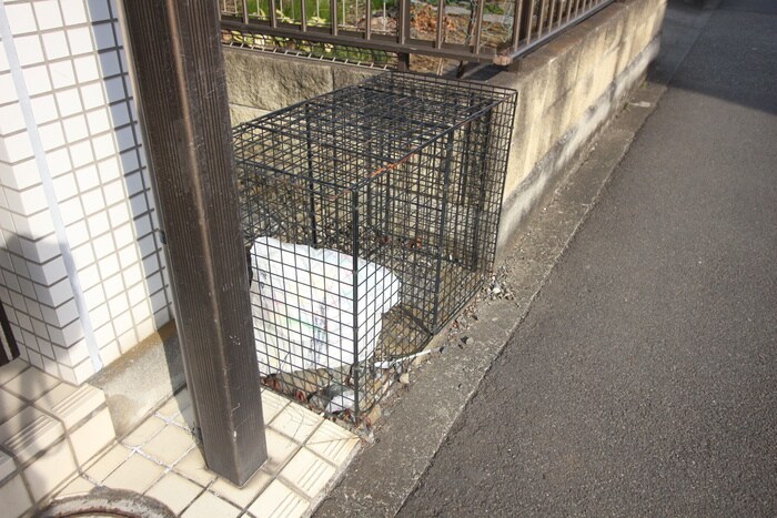 その他 フランシール越野