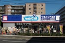 ウエルシア横浜綱島東店(ドラッグストア)まで341m イリス日吉