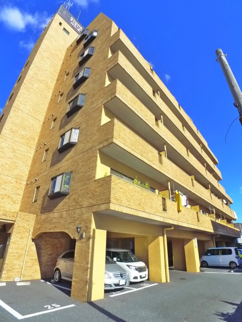 その他 スト－ンフィ－ルドＮＯ３