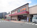 ライフ(スーパー)まで700m 第二 ハイツナカシモ
