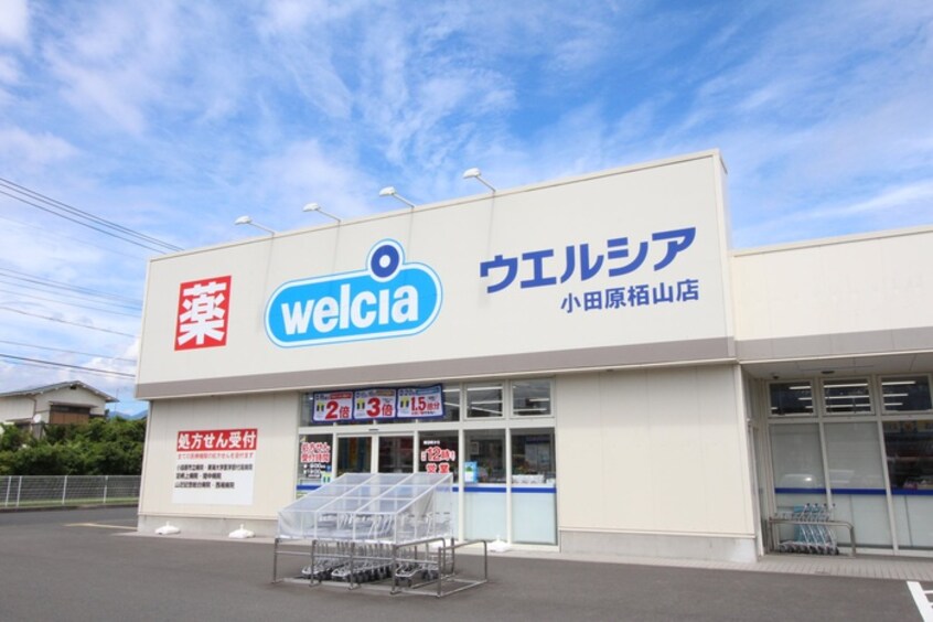 ウエルシア小田原栢山店(ドラッグストア)まで950m クラ－ル曽比Ⅱ