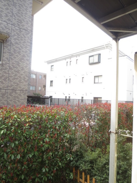 室内からの展望 センチュリ－フォレスト