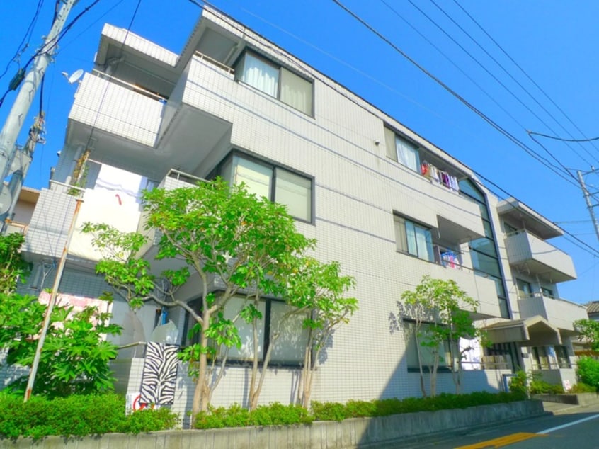その他 ＣＡＳＡ　ＭＩＬＡ