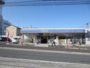 ローソン(ドラッグストア)まで389m シルフィード