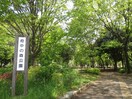 府中の森公園(公園)まで1300m リバ－サイドマンション