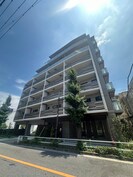 レスピール蓮根の外観