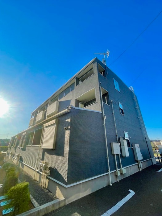 その他 エターナルシーズン