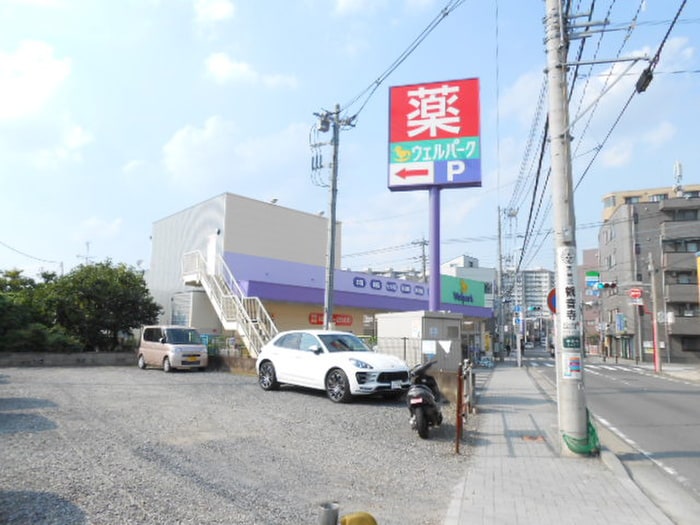 中野島ウエルスパーク(ドラッグストア)まで850m スペランツァ・ルーチェ