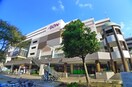 イオン(ショッピングセンター/アウトレットモール)まで230m オ－シャンビュ－壱番館