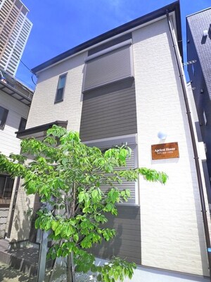Apricot House