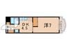 メゾネットカメリア 1DKの間取り