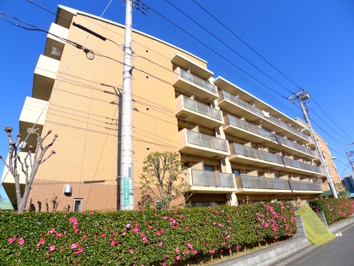 その他 ミレニアム北浦和