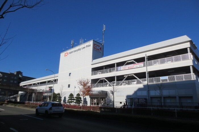 オーケーストア(スーパー)まで1122m レイディアンス東山田