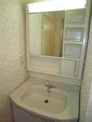 洗面 ロイヤル・ハイネス(206)