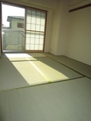 居室 ロイヤル・ハイネス(206)