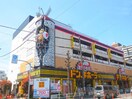 ドンキホーテ(ディスカウントショップ)まで50m ＡＣＯＬＴ府中緑町