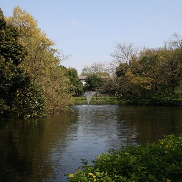 和田堀公園(公園)まで311m 永福グリーンテラス