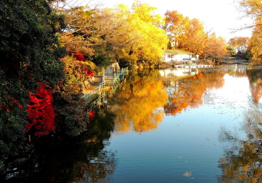 武蔵関公園(公園)まで410m グリーン・メルベーユ