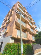 コンフォ－ル・ノグチ