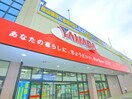 ヤマダ電機(電気量販店/ホームセンター)まで1470m シャルール