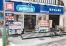 ウエルシア自由が丘店(ドラッグストア)まで450m ERZ自由が丘