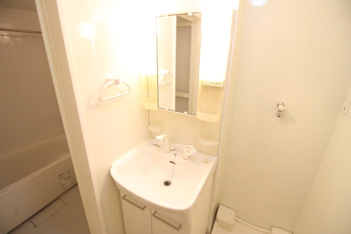 洗面 ヒルズ・カ－リアA