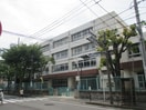 川崎市立野川小学校(小学校)まで269m ヒルズ・カ－リアA