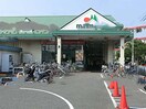 マルエツ 朝日町店(スーパー)まで108m 若葉荘