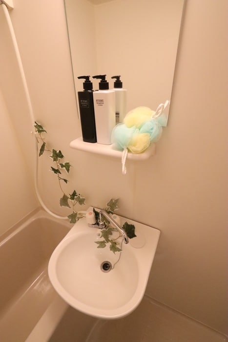 洗面 ラフェリエ相模大野