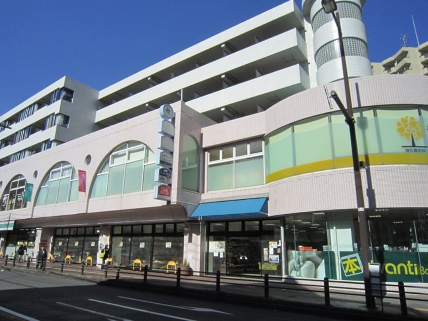 ロビーシティ相模大野(ショッピングセンター/アウトレットモール)まで850m ラフェリエ相模大野